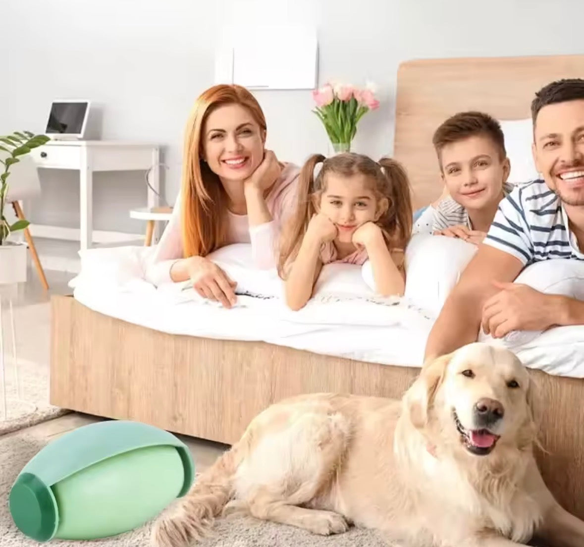 PetLuxe™ Lintify- Reusable Lint & Pet Hair Remover Roller